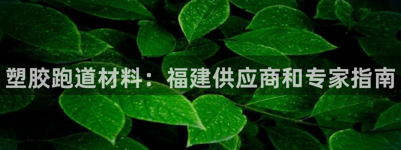 谈球吧算违法行为吗知乎：塑胶跑道材料：福建供应商和专