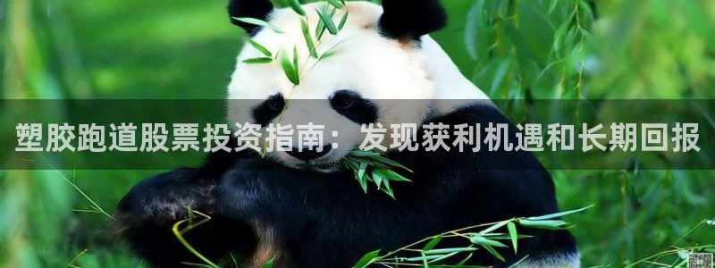 谈球吧体育app下载足球比赛视频：塑胶跑道股票投资指南：发现获利机遇和长期回报