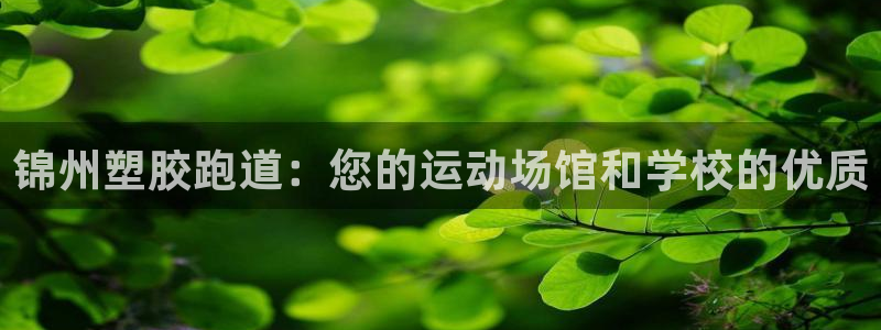 谈球吧体育app下载中心官方最新版：锦州塑胶跑道：您