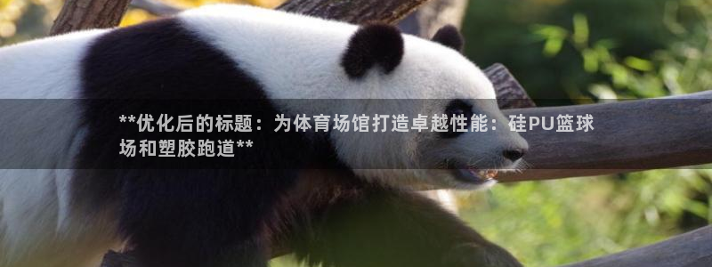 谈球吧平台app下载网址是什么：**优化后的标题：为体育场馆打造卓越性能：硅PU篮球
场和塑胶跑道**