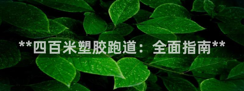 谈球吧黑款：**四百米塑胶跑道：全面指南**