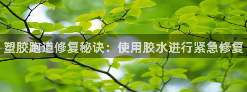 谈球吧算违法行为吗为什么：塑胶跑道修复秘诀：使用胶水进行紧急修复