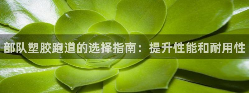 谈球吧app体育下载