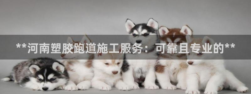 谈球吧app赛事分析在哪里看到：**河南塑胶跑道施工