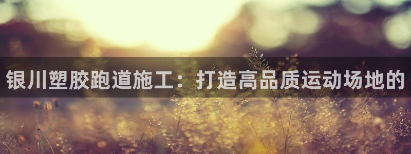 谈球吧体育app下载中心官方：银川塑胶跑道施工：打造高品质运动场地的