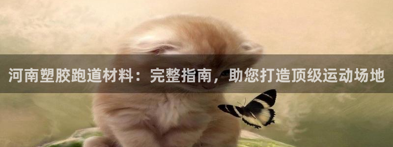 谈球吧出款：河南塑胶跑道材料：完整指南，助您打造顶级运动场地