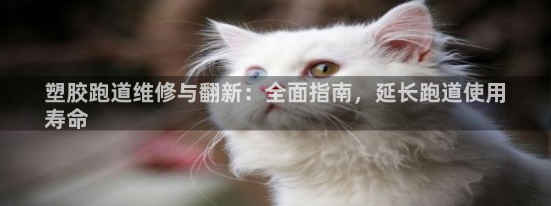 谈球吧体育app下载中心官方最新版：塑胶跑道维修与翻