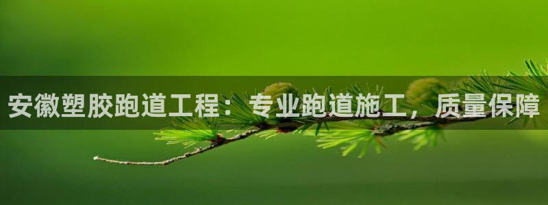 谈球吧体育ios下载：安徽塑胶跑道工程：专业跑道施工，质量保障