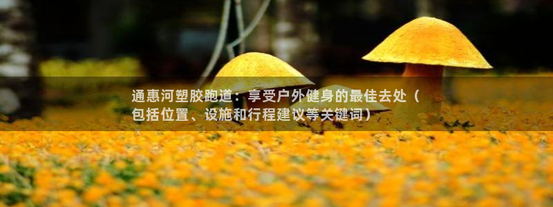 谈球吧体育首页综合登陆：通惠河塑胶跑道：享受户外健身的最佳去处（
包括位置、设施和行程建议等关键词）