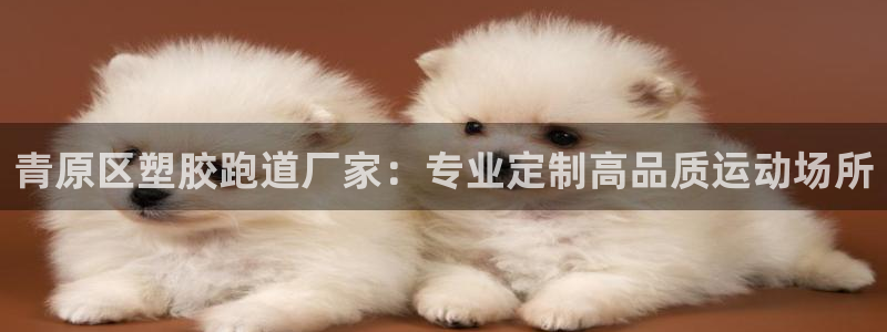 谈球吧能提现不：青原区塑胶跑道厂家：专业定制高品质运