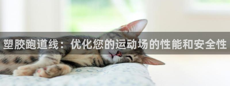 谈球吧平台正规吗可靠吗安全吗：塑胶跑道线：优化您的运