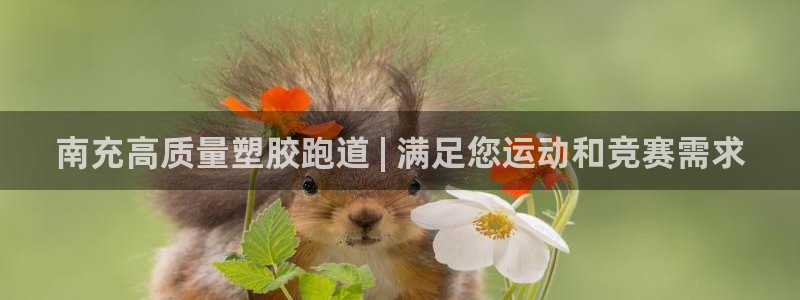 谈球吧登录：南充高质量塑胶跑道 | 满足您运动和竞赛
