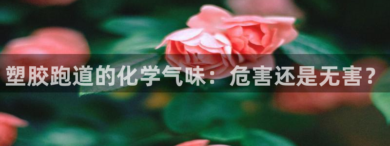谈球吧体育app下载官网苹果版：塑胶跑道的化学气味：危害还是无害？