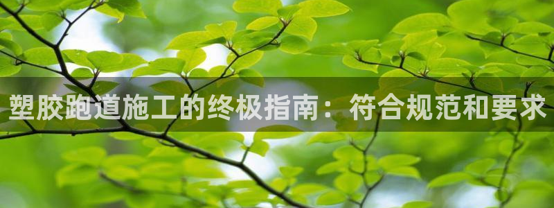 谈球吧官网入口：塑胶跑道施工的终极指南：符合规范和要求