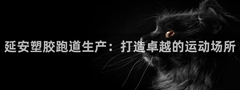 谈球吧平台正规吗：延安塑胶跑道生产：打造卓越的运动场