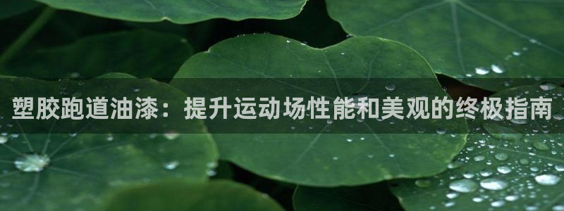 谈球吧买球提现：塑胶跑道油漆：提升运动场性能和美观的