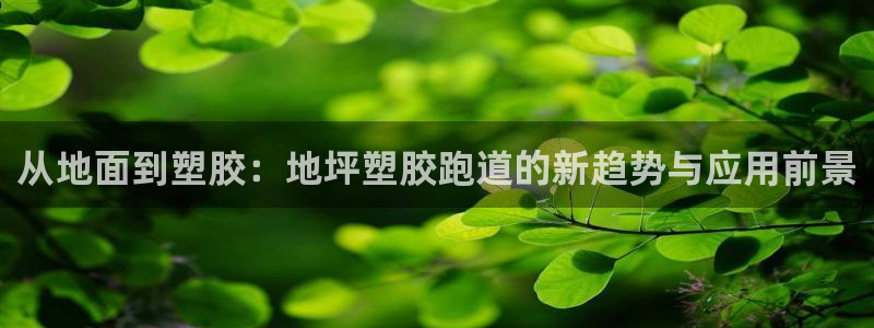 谈球吧APP入口