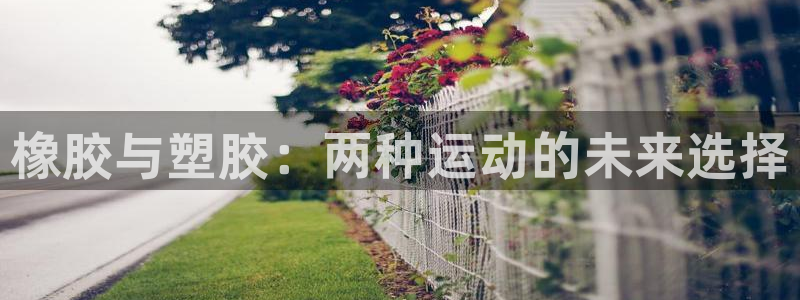 谈球吧咋样
