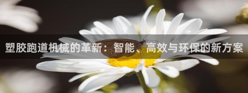 谈球吧红包激活码