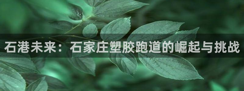 谈球吧登录网