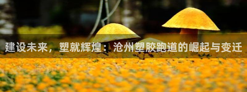 谈球吧官网在线入口网址