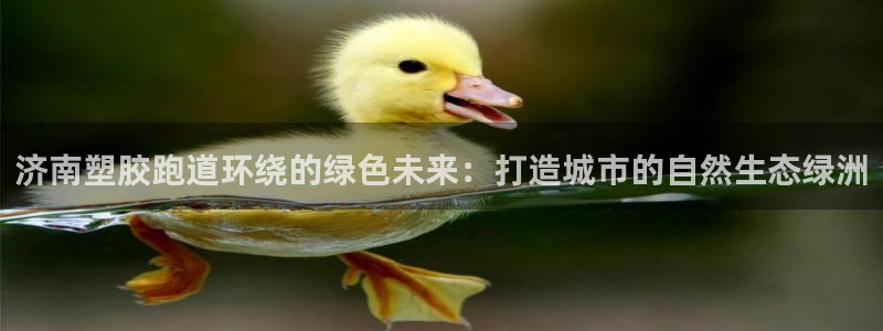 谈球吧怎么样?