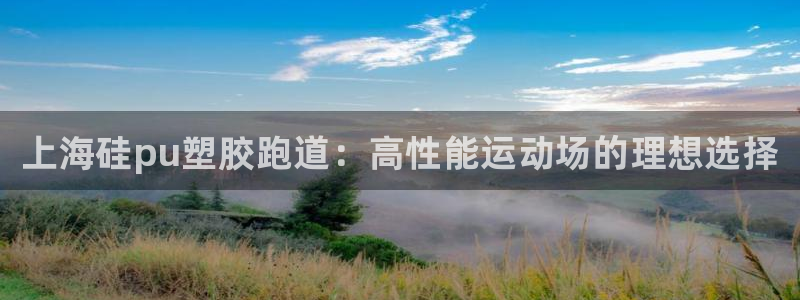 谈球吧体育app下载足球直播视频：上海硅pu塑胶跑道：高性能