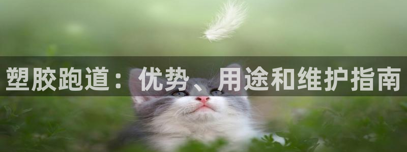 谈球吧体育官网在线入口免费观看：塑胶跑道：优势、用途和维护指