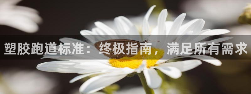 谈球吧官网在线入口免费观看视频下载：塑胶跑道标准：终极指南，满足所有需求