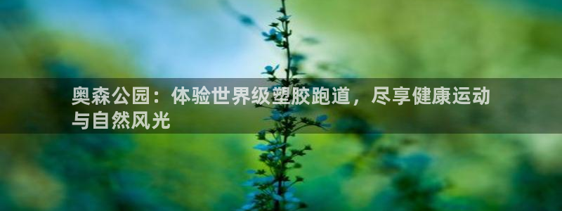 谈球吧体育app官网下载安卓：奥森公园：体验世界级塑