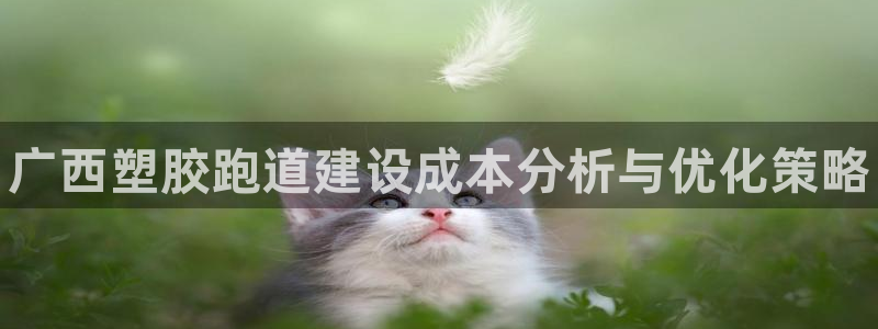 谈球吧app赛事分析在哪里看到