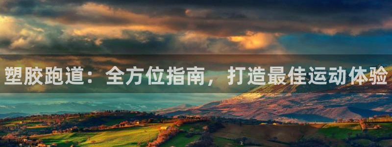 谈球吧网页登录：塑胶跑道：全方位指南，打造最佳运动体验