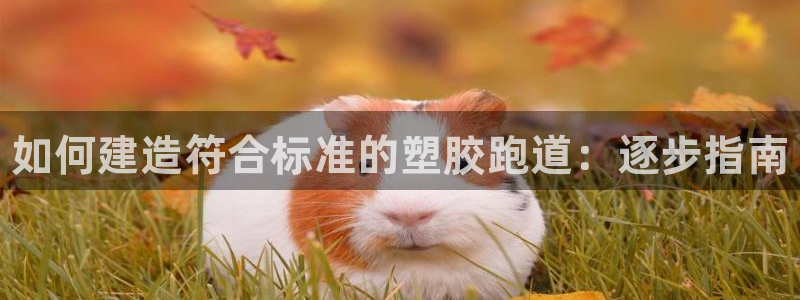 谈球吧体育app下载官网手机版：如何建造符合标准的塑胶跑道：