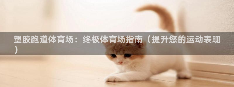 谈球吧app官方下载：塑胶跑道体育场：终极体育场指南