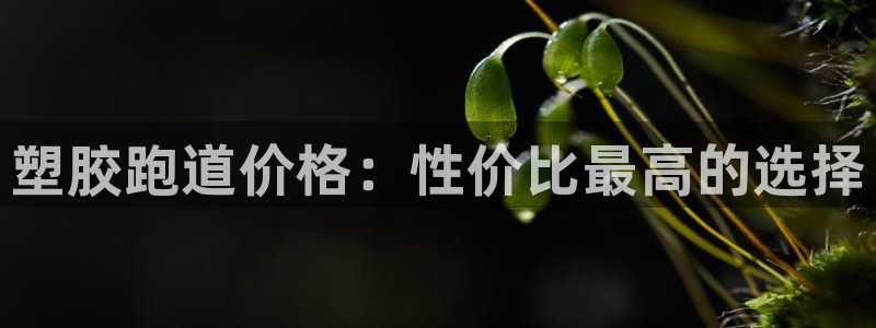 谈球吧体育app下载官网手机版