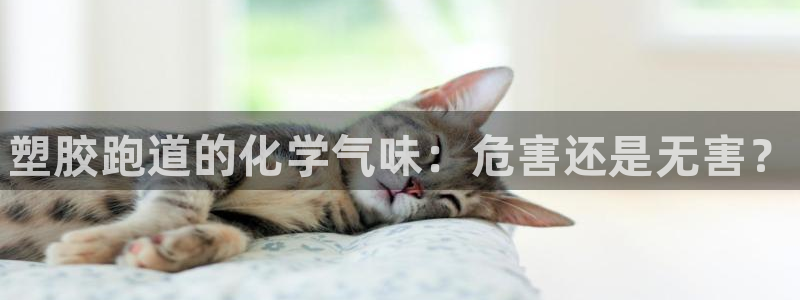 谈球吧是黑台子吗还是白台子：塑胶跑道的化学气味：危害