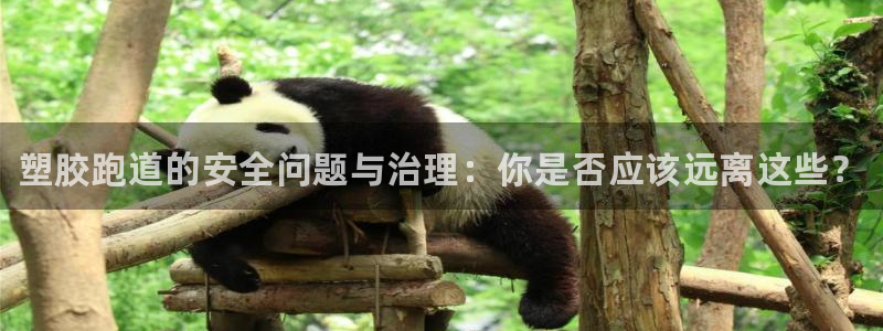 谈球吧体育app下载官网手机版安装：塑胶跑道的安全问题与治理