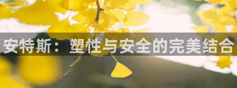 谈球吧app官网：安特斯：塑性与安全的完美结合